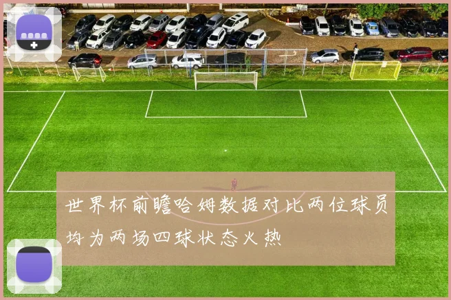 世界杯前瞻哈姆数据对比两位球员均为两场四球状态火热