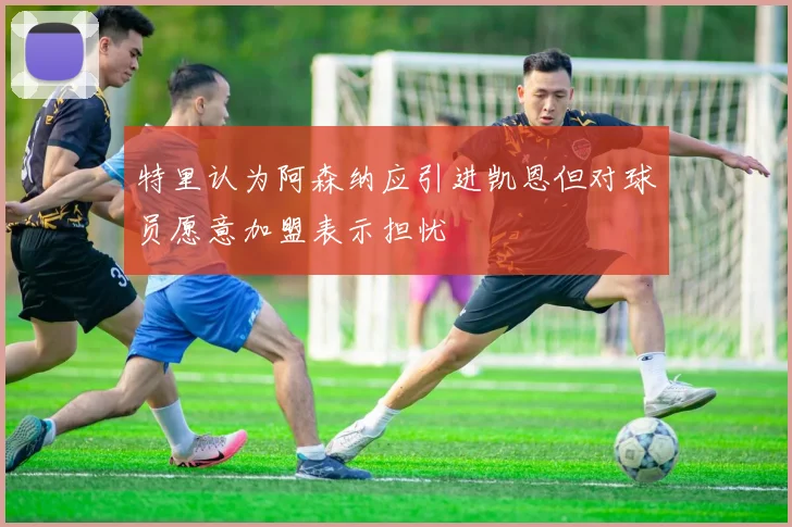 特里认为阿森纳应引进凯恩但对球员愿意加盟表示担忧