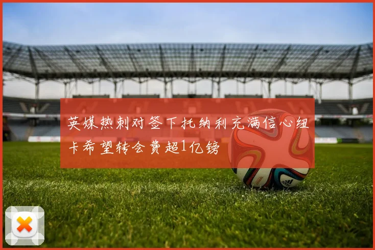 英媒热刺对签下托纳利充满信心纽卡希望转会费超1亿镑