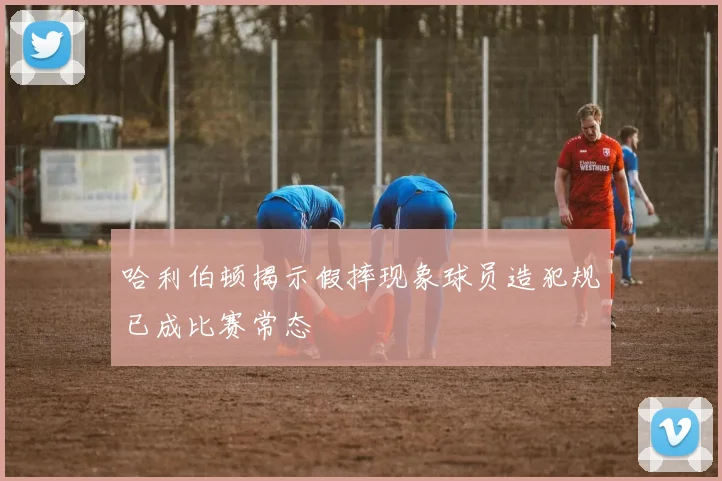 哈利伯顿揭示假摔现象球员造犯规已成比赛常态